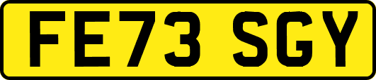 FE73SGY
