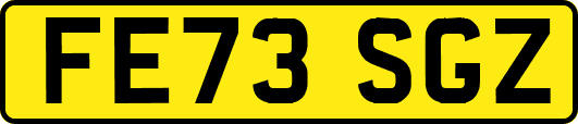 FE73SGZ
