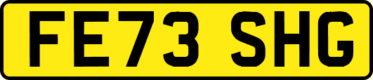 FE73SHG