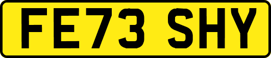 FE73SHY