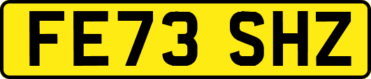 FE73SHZ