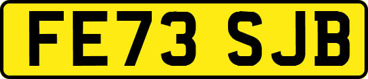 FE73SJB