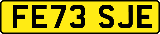 FE73SJE