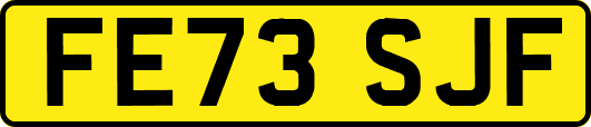 FE73SJF