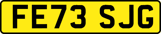 FE73SJG