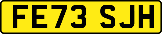 FE73SJH