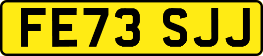 FE73SJJ