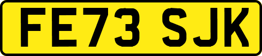 FE73SJK
