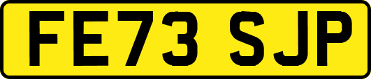 FE73SJP