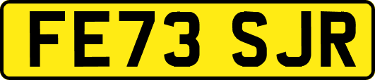 FE73SJR
