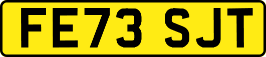FE73SJT