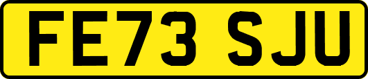 FE73SJU