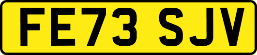 FE73SJV