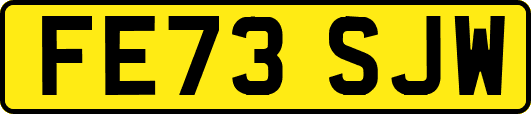 FE73SJW