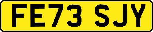 FE73SJY