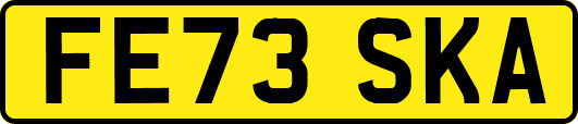 FE73SKA