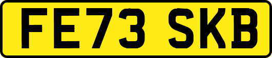 FE73SKB