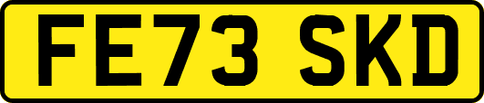 FE73SKD
