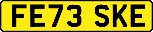 FE73SKE