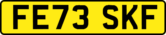 FE73SKF