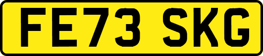FE73SKG