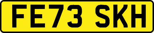 FE73SKH
