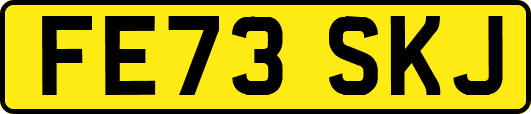 FE73SKJ
