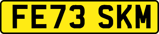 FE73SKM