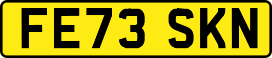 FE73SKN