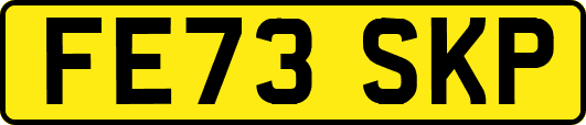 FE73SKP
