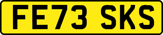 FE73SKS