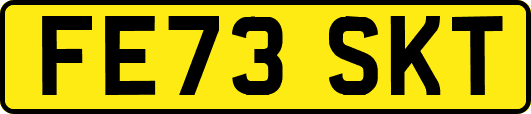 FE73SKT