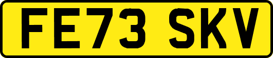 FE73SKV