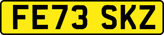 FE73SKZ