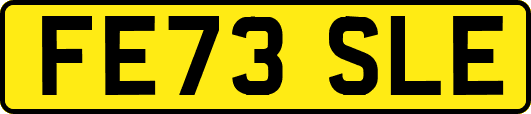 FE73SLE