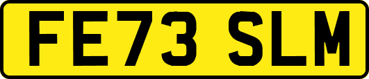 FE73SLM