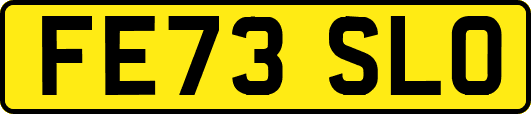 FE73SLO