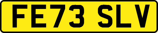 FE73SLV