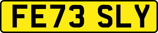 FE73SLY
