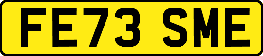 FE73SME