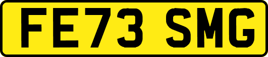 FE73SMG
