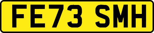 FE73SMH