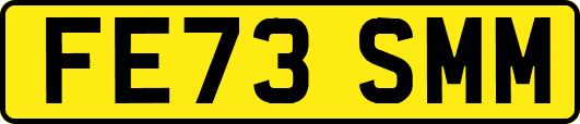 FE73SMM