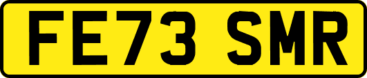 FE73SMR