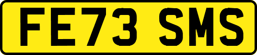 FE73SMS