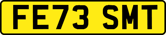 FE73SMT