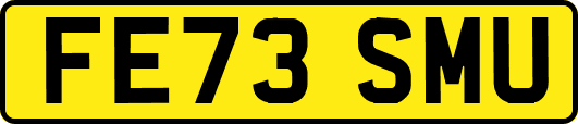 FE73SMU