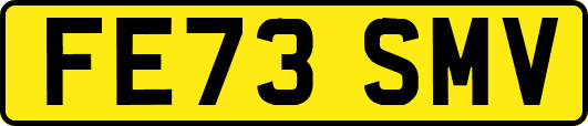 FE73SMV