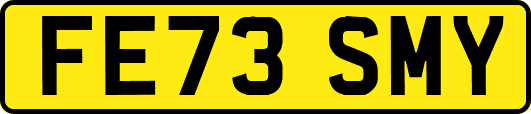 FE73SMY