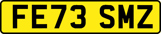 FE73SMZ